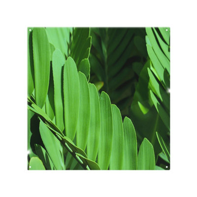 Benjamin Tate Design Natural Dark Green LeavesLong Slender Green Leaves Designer Splash Back Designer Style from B&Q
