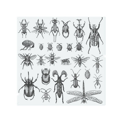 Benjamin Tate Design Fleas Many Species In Vintage Old Hand Drawn Style Designer Splash Back Designer Style from B&Q