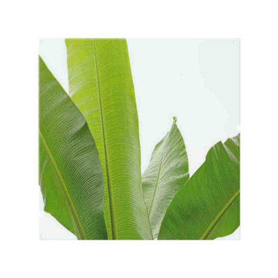 Benjamin Tate Design Green Leaves On White Splash Back Designer Style from B&Q