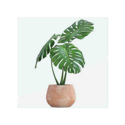 Benjamin Tate Design Monstera Splash Back Designer Style from B&Q