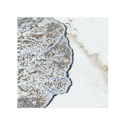 Benjamin Tate Design Beach Tide Splash Back Designer Style from B&Q