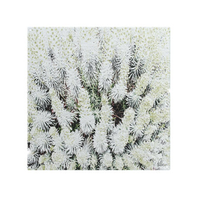 Benjamin Tate Design Beautifully White Splash Back Designer Style from B&Q