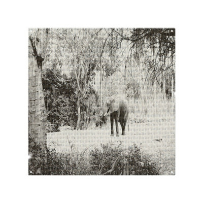 Benjamin Tate Design Elephant Jungle Splash Back Designer Style from B&Q