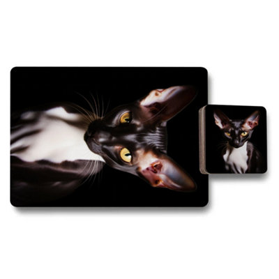 B&Q -  Set Of 12 Placemat And Coaster Set With Designer Artwork And Wood Bottom