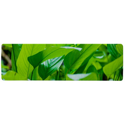 Benjamin Tate Design Green Leaf Background Abstract Of Nature Designer Runner Special Soft Home Rug from B&Q