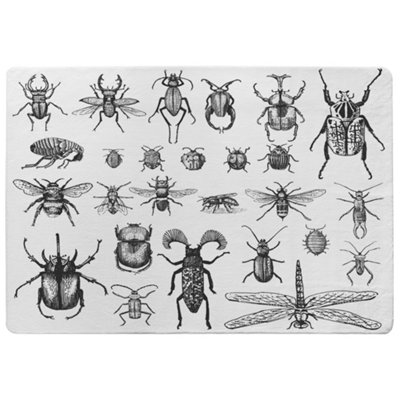 Benjamin Tate Design Fleas Many Species In Vintage Old Hand Drawn Style Designer Special Soft Home Rug from B&Q