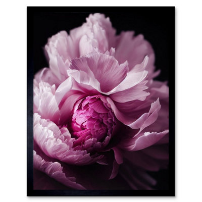 Artery8 Framed Wall Art Pink Peony Blooming Petals Macro Photograph12X16 Inch from B&Q