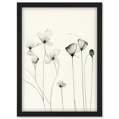 Artery8 Stylish Flower Illustration Line Drawing With Black Ink Wall Art PrintA4 Size from B&Q