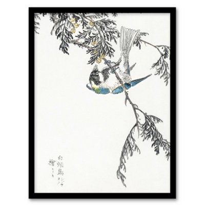 B&Q -  Kashu Framed Wall Art Print Great Tit And Japan Cypress JapanA4 Size