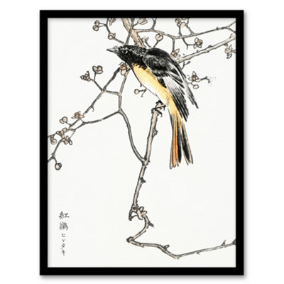 B&Q -  Numata Kashu Framed Wall Art Print Siberian Blue Tail Bird JapanA4 Size