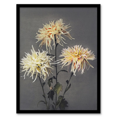 Artery8 Ogawa Kazumasa Framed Wall Art Print Chrysanthemums Vintage FloralA4 Size from B&Q