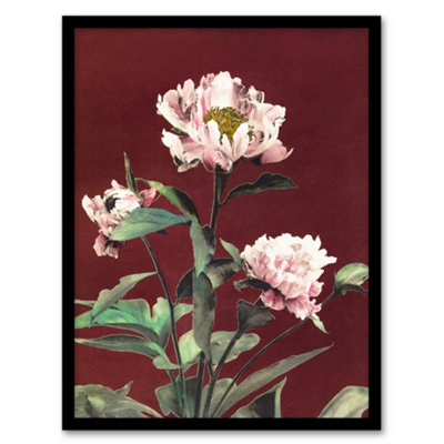 Artery8 Ogawa Kazumasa Framed Wall Art Print Pink Herbaceous Peony FlowerA4 Size from B&Q