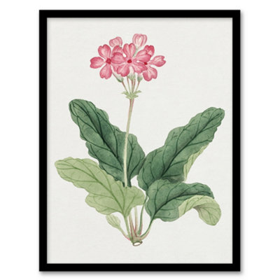 B&Q -  Vintage Japan Botanical Framed Wall Art Print Sakura FlowerA4 Size