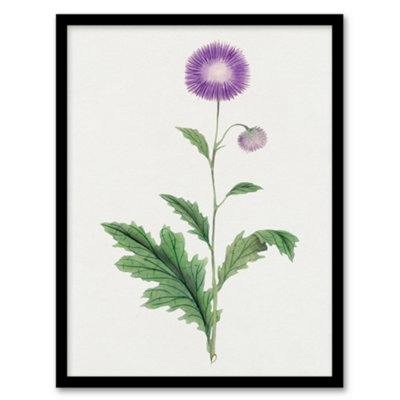 Artery8 Vintage Japan Botanical Framed Wall Art Print Thistle FlowerA4 Size from B&Q