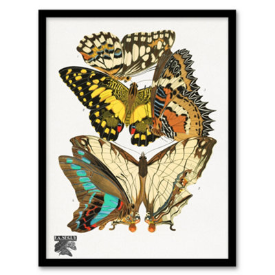 Artery8 Eugene Seguy Framed Wall Art Print Papillons Butterflies IllustrationA4 Size from B&Q