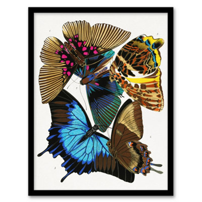 B&Q -  Eugene Seguy Framed Wall Art Print Colourful Vintage ButterfliesA4 Size