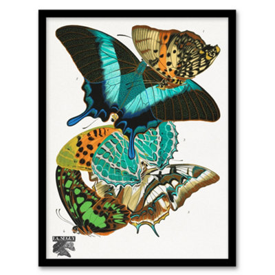 B&Q -  Eugene Seguy Framed Wall Art Print Vintage Colourful ButterfliesA4 Size