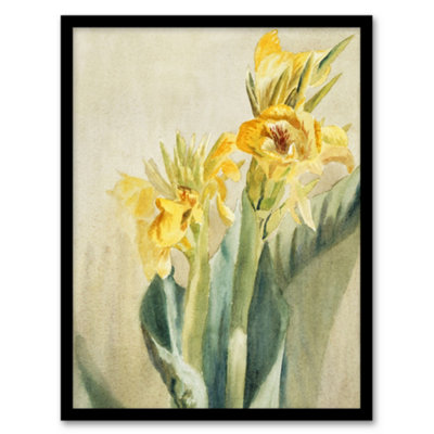 Artery8 Hannah Borger Overbeck Framed Wall Art Yellow Canna Lily FlowersA4 Size from B&Q