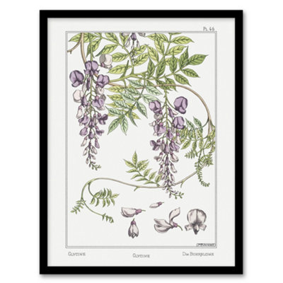 B&Q -  Maurice Pillard Verneuil Framed Wall Art Print Wisteria FlowerA4 Size