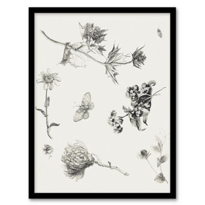 B&Q -  Theo Van Hoytema Framed Wall Art Flowers Leaves And Butterfly DrawingA4 Size