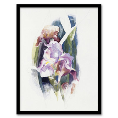 B&Q -  Charles Demuth Framed Wall Art Print Purple Iris Flower WatercolourA4 Size