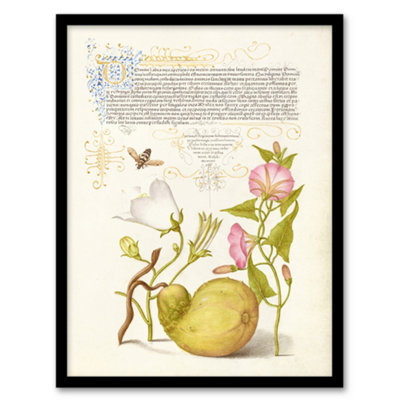 Artery8 Model Book Of Calligraphy Framed Wall Art Beetle Flowers And GourdA4 Size from B&Q