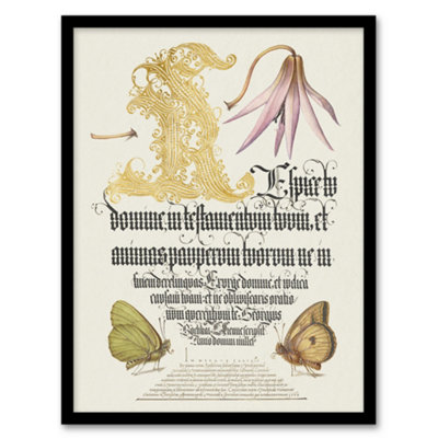 Artery8 Model Book Of Calligraphy Framed Wall Art Dog Tooth Violet And ButterfliesA4 Size from B&Q