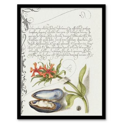 Artery8 Model Book Of Calligraphy Framed Wall Art Flower Mussel And LadybirdA4 Size from B&Q