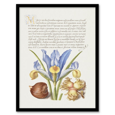 B&Q -  Model Book Of Calligraphy Framed Wall Art Iris Flower And HazelnutA4 Size