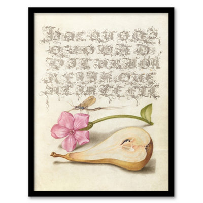 Artery8 Model Book Of Calligraphy Framed Wall Art Mayfly Red Campion And PearA4 Size from B&Q