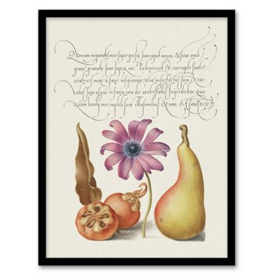 Artery8 Model Book Of Calligraphy Framed Wall Art Medlar Poppy Anemone And PearA4 Size from B&Q
