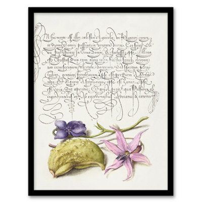 Artery8 Model Book Of Calligraphy Framed Wall Art Violet Blooms And GourdA4 Size from B&Q