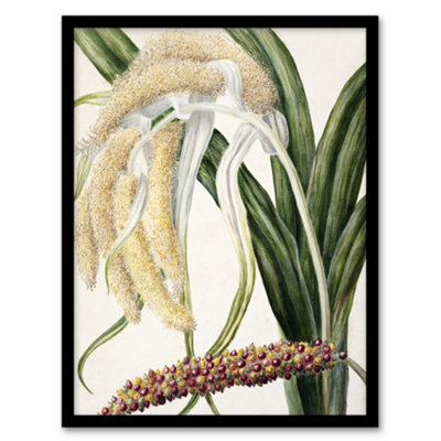 Artery8 Sarah Featon Framed Wall Art New Zealand Perching Lily Flower PlantA4 Size from B&Q