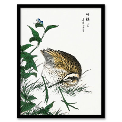 Artery8 Numata Kashu Framed Wall Art Print Greenshank And Bupleurum Japan - A3 Size