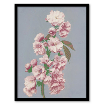 Artery8 Ogawa Kazumasa Framed Wall Art Print Cherry Blossom Flower Bloom - A3 Size