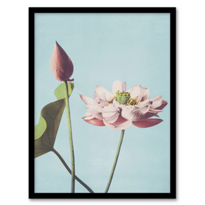 Artery8 Pink Ogawa Kazumasa Framed Wall Art Print Lotus Flower Blooms - A3 Size