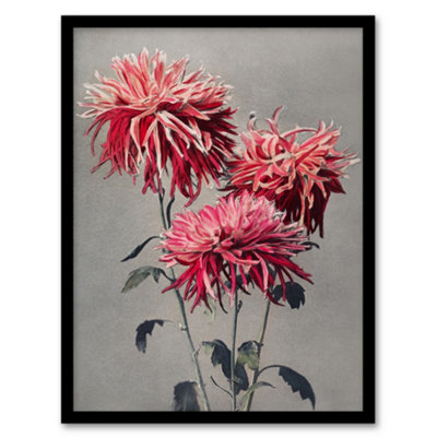 Artery8 Ogawa Kazumasa Framed Wall Art Print Pink Chrysanthemum FlowersA3 Size from B&Q
