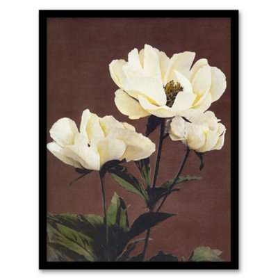 Artery8 Ogawa Kazumasa Framed Wall Art Print White Herbaceous Peony FlowersA3 Size from B&Q