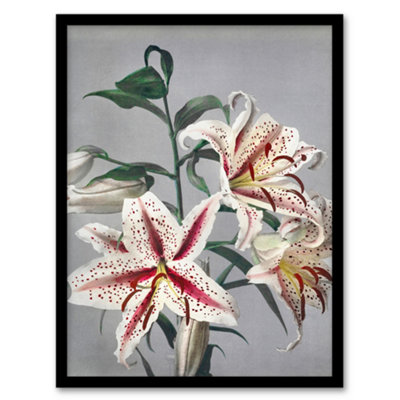 Artery8 Ogawa Kazumasa Framed Wall Art Print White Pink Spotted Lilly FlowersA3 Size from B&Q
