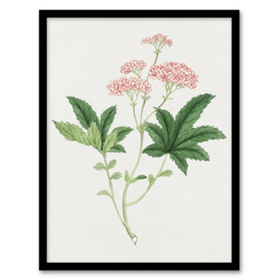 B&Q -  Vintage Japan Botanical Framed Wall Art Print Shimotsuke FlowerA3 Size