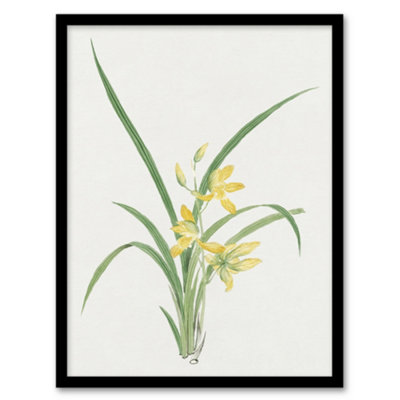 Artery8 Vintage Japan Botanical Framed Wall Art Print Yellow LiliesA3 Size from B&Q
