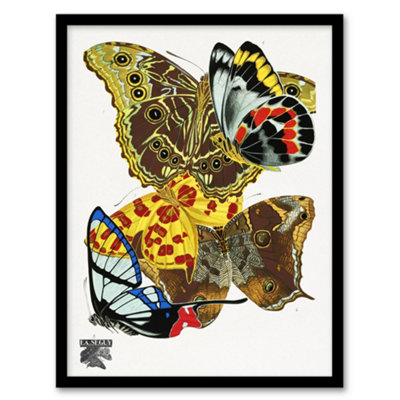 Artery8 Eugene Seguy Framed Wall Art Papillons Bright Vintage Butterflies - A3 Size