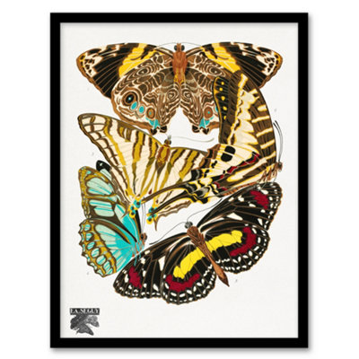 B&Q -  Eugene Seguy Framed Wall Art Print Papillons Butterflies VintageA3 Size