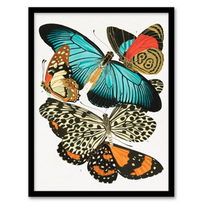 B&Q -  Eugene Seguy Framed Wall Art Vintage Butterflies Blue And OrangeA3 Size