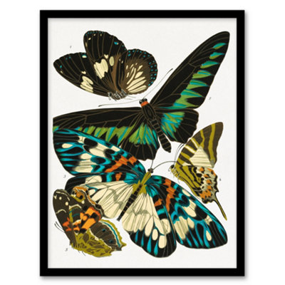 B&Q -  Eugene Seguy Framed Wall Art Print Vintage Butterflies Green BlueA3 Size