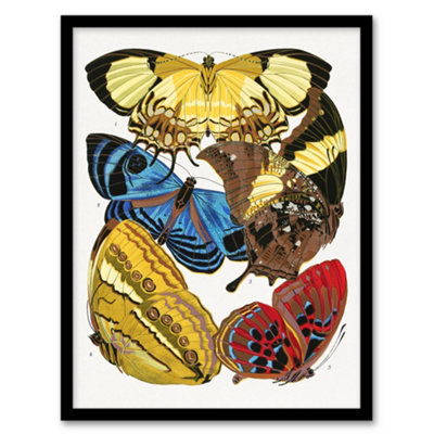 B&Q -  Eugene Seguy Framed Wall Art Vintage Butterflies Yellow Red BlueA3 Size