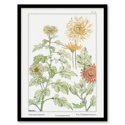 B&Q -  Maurice Pillard Verneuil Framed Wall Art Print Chrysanthemum FlowerA3 Size