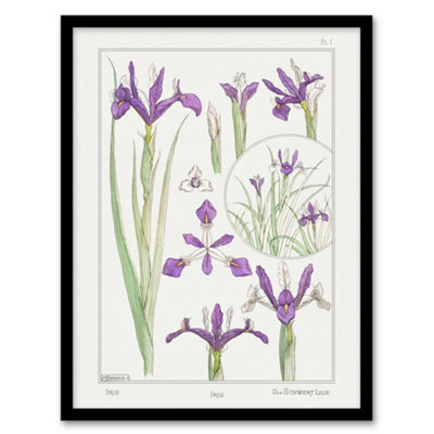 B&Q -  Maurice Pillard Verneuil Framed Wall Art Print Purple Iris FlowerA3 Size