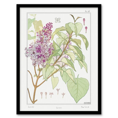 B&Q -  Maurice Pillard Verneuil Framed Wall Art Print Lilac Flower PlantA3 Size