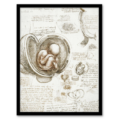 B&Q -  Leonardo Da Vinci Framed Wall Art Studies Of The Foetus In The WombA3 Size